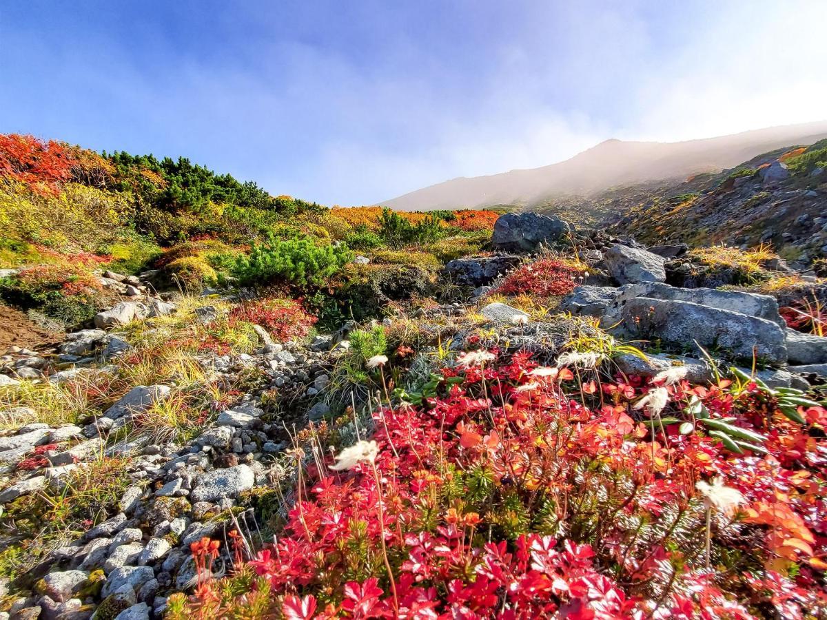 Pension Gooseberry Furano Bagian luar foto