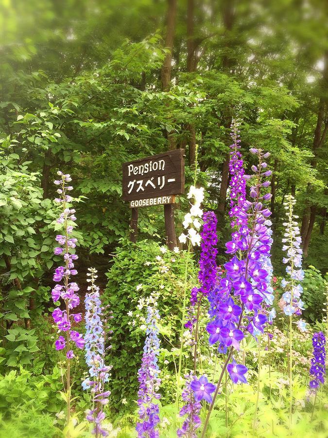 Pension Gooseberry Furano Bagian luar foto