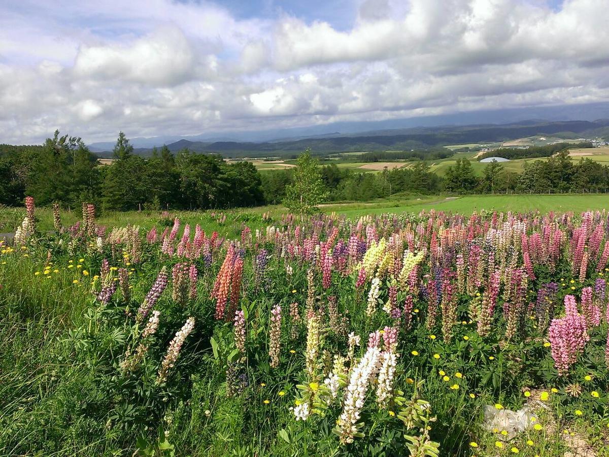 Pension Gooseberry Furano Bagian luar foto