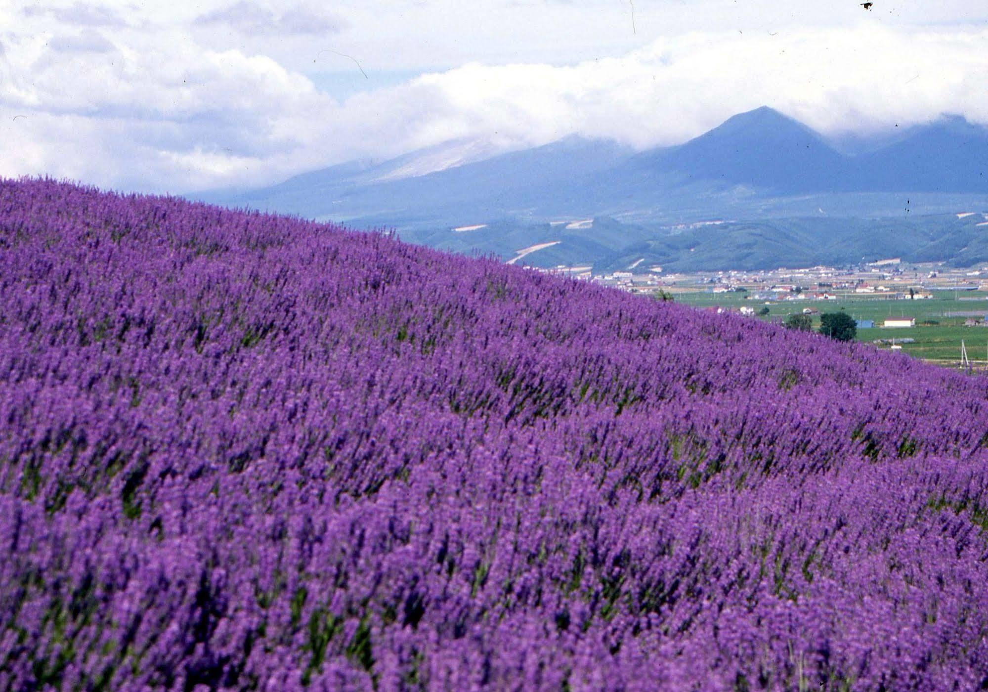 Pension Gooseberry Furano Bagian luar foto
